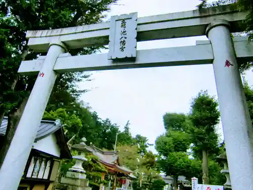 亀ケ池八幡宮の鳥居