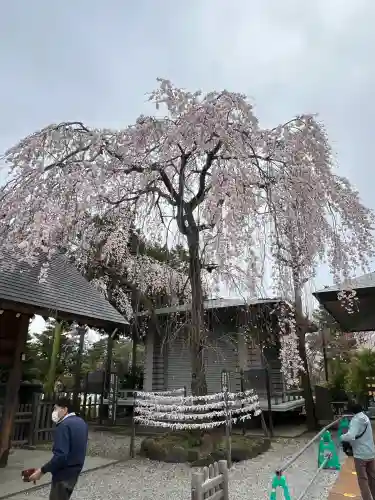 開成山大神宮(福島県)