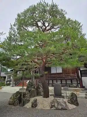 慈恩護国禅寺(岐阜県)