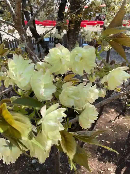上地八幡宮の庭園