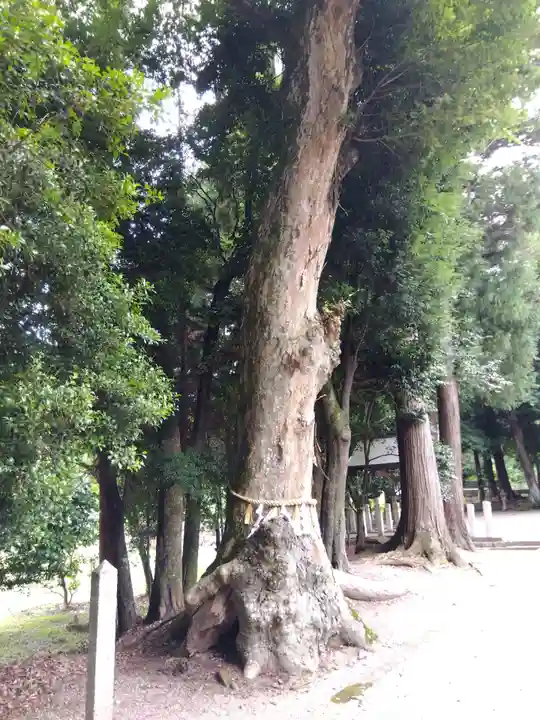 神山神社(滋賀県)