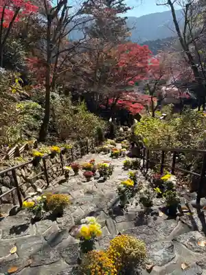 長谷寺(奈良県)