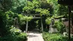 赤坂氷川神社の鳥居