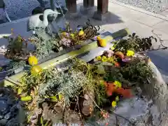 白鷺神社の手水