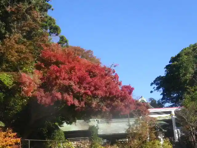 鎌倉宮のその他建物