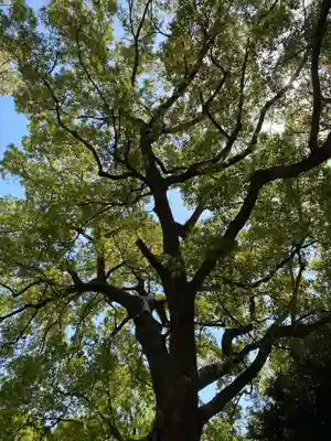 王子神社(東京都)
