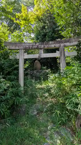竹中稲荷神社（吉田神社末社）(京都府)