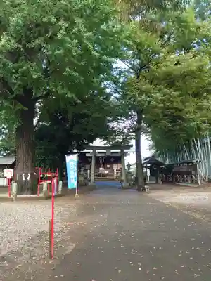 野々宮神社(埼玉県)