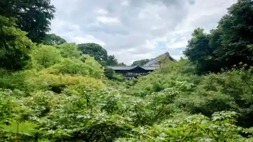 東福禅寺（東福寺）(京都府)