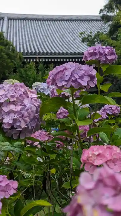 智積院(京都府)