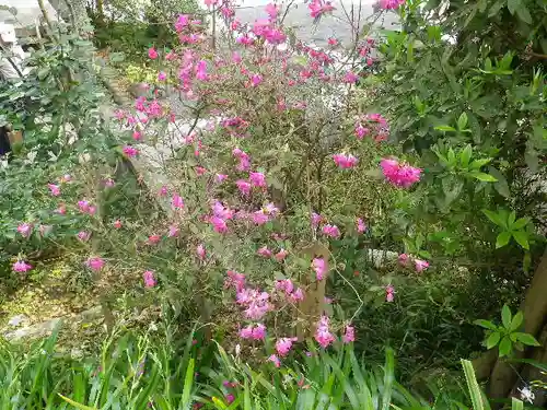 荏柄天神社の自然