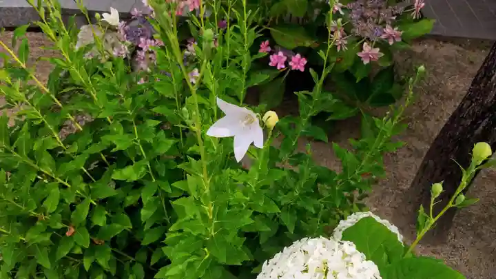 櫛田神社の庭園