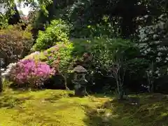 海蔵寺(神奈川県)