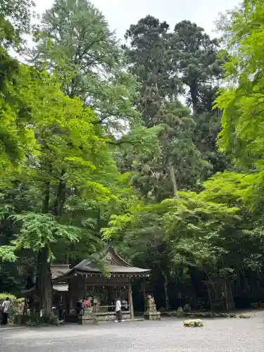 貴船神社奥宮の{uncategorized: "未分類", other: "その他", undefined: "問題あり", building: "その他建物", grave: "お墓", sacred_gate: "鳥居", guardian: "狛犬", statue: "像", buddha: "仏像", history: "歴史", nature: "自然", garden: "庭園", animal: "動物", pagoda: "塔", temizu: "手水舎", mountain_gate: "山門・神門", sanctuary: "本殿・本堂", subordinate: "末社・摂社", art: "芸術", scenery: "景色", jizo: "地蔵", ema: "絵馬", goshuin: "御朱印", omikuji: "おみくじ", items: "授与品その他", amulet: "お守り", goshuincho: "御朱印帳", eats: "食事", festival: "お祭り", votive_dance: "神楽", shichigosan: "七五三参", wedding: "結婚式", experience: "体験その他", initially: "初詣", around: "周辺", anti_infection: "感染症対策"}