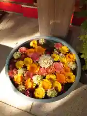 草加神社の手水