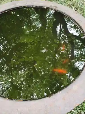 常圓寺のその他建物