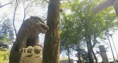神明社の狛犬