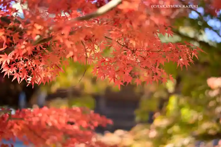 円覚寺(神奈川県)