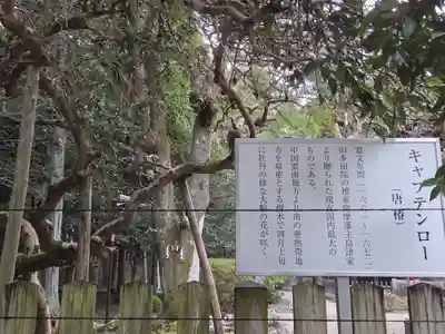 多田神社(兵庫県)