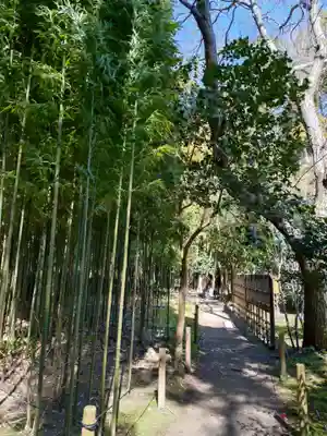 浄智寺(神奈川県)