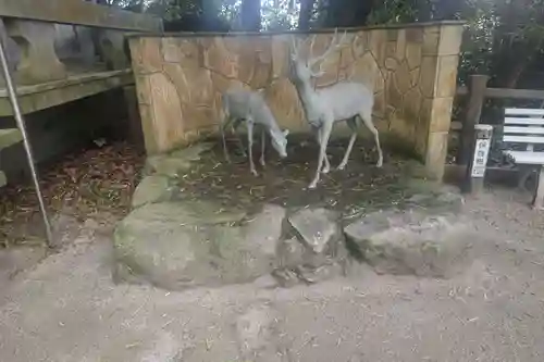 志賀海神社の像