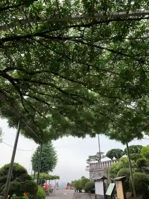 足利織姫神社のその他建物