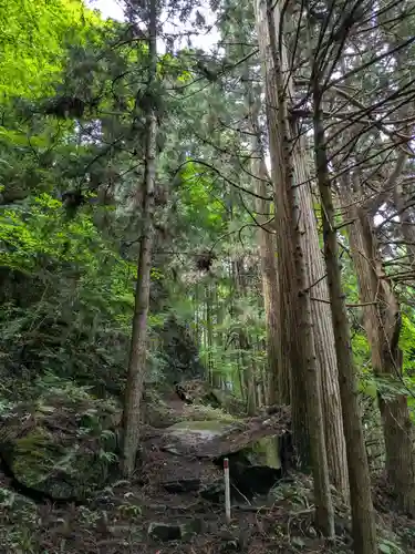 東堂山 満福寺（昭和羅漢）の自然