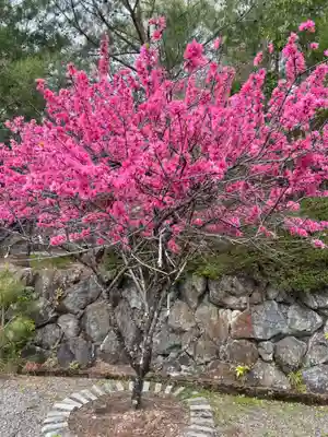 原谷弁財天(京都府)