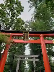 馬橋稲荷神社の鳥居