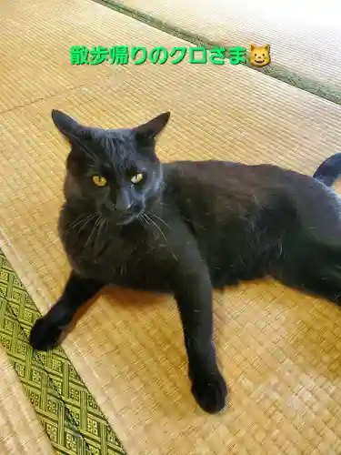 高司神社〜むすびの神の鎮まる社〜(福島県)