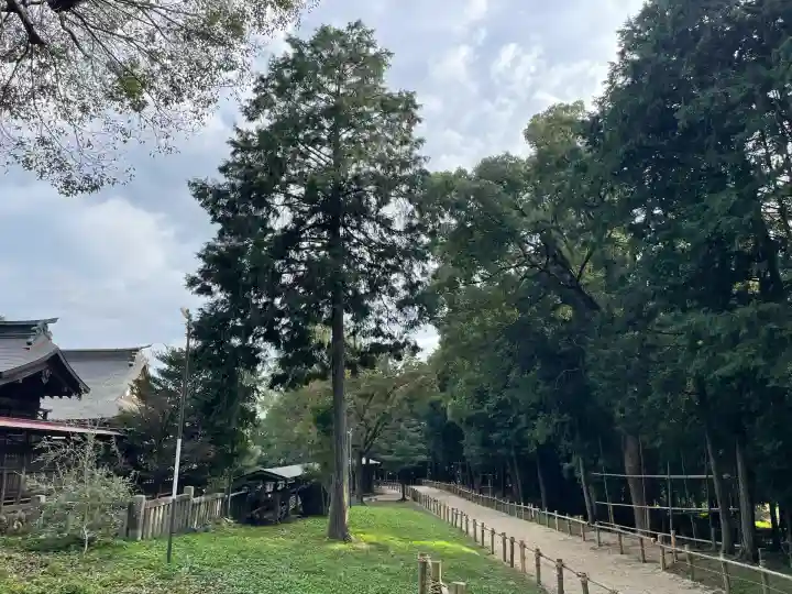 出雲伊波比神社(埼玉県)