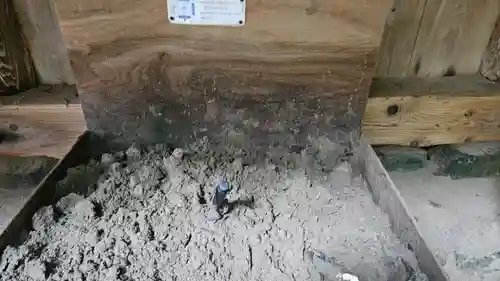 出雲大社(島根県)