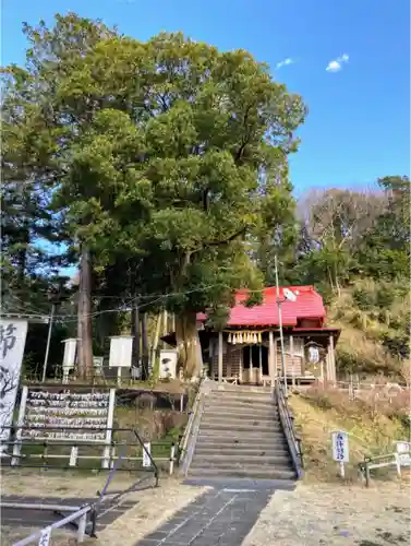 思金神社のその他建物