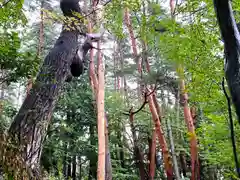 足長神社(長野県)