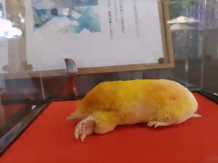 下野 星宮神社(栃木県)