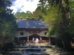 椿大神社の本殿