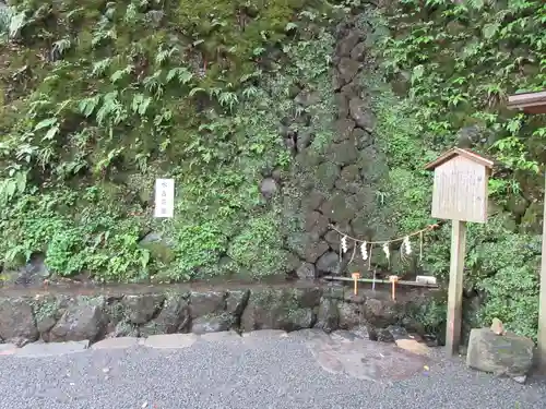 貴船神社のおみくじ