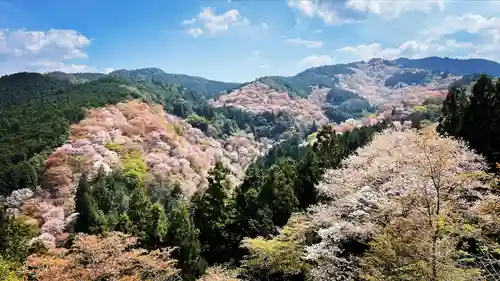 𠮷水神社（吉水神社）(奈良県)