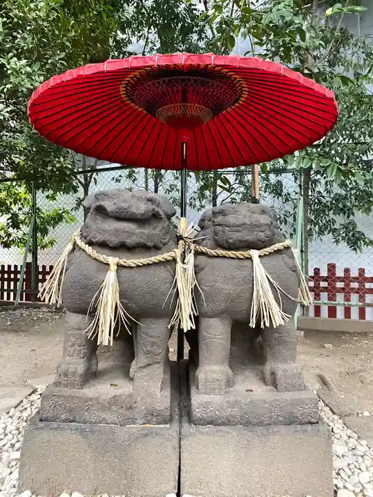 浅草神社の狛犬