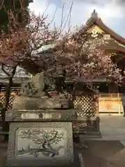 湯島天満宮の狛犬