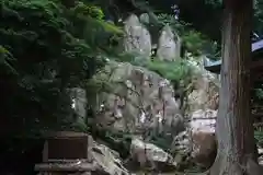 鹿島大神宮の自然