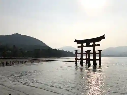 厳島神社の鳥居