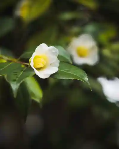 春日部八幡神社(埼玉県)
