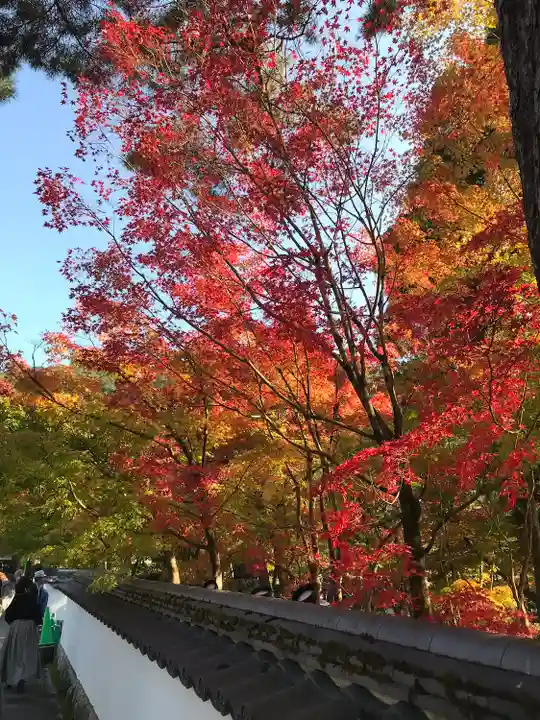 南禅寺(京都府)