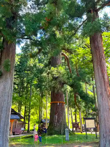 槻本神社(岐阜県)