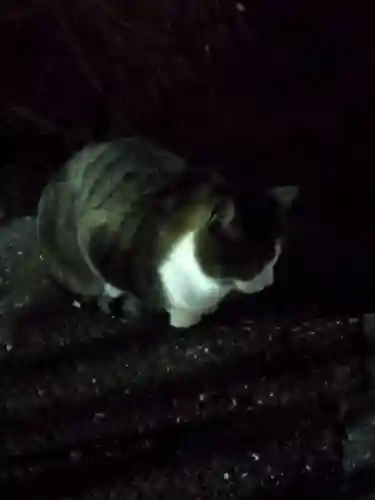 伏見稲荷大社 奥社奉拝所(京都府)