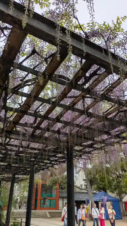 葛井寺(大阪府)