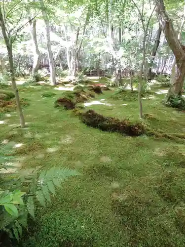 祇王寺(京都府)