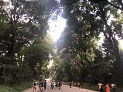 明治神宮(東京都)