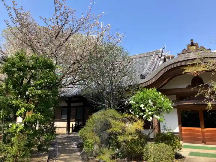 大泉寺(東京都)
